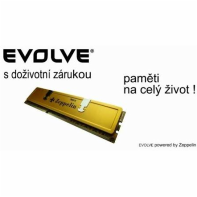 EVOLVEO by Zeppelin DDR 1GB 400 MHz EVOLVEO GOLD (box), C...