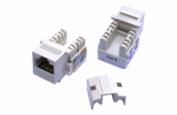 DATACOM Keystone cat6 white UTP