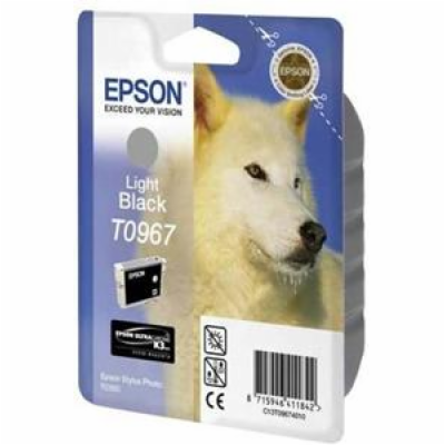 Epson inkoustová náplň/ C13T09674010/ Stylus 2880/ Světlá...