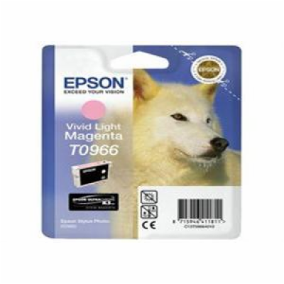 Epson inkoustová náplň/ C13T09664010/ Stylus 2880/ Světle...