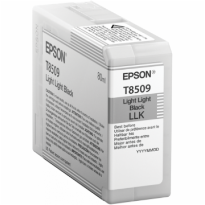 EPSON ink čer ULTRACHROME HD "Kosatka" - Light Light Blac...