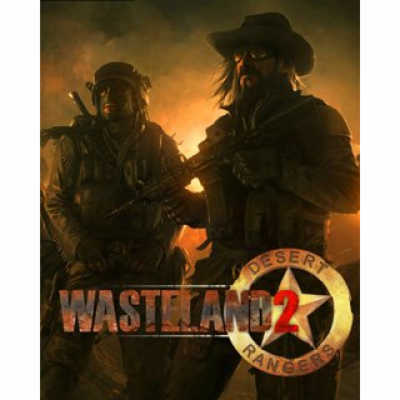 ESD Wasteland 2  Directors Cut