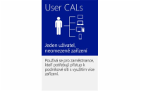 WINDOWS SERVER CAL 2019 ENG 5 CLT USER CAL OEM