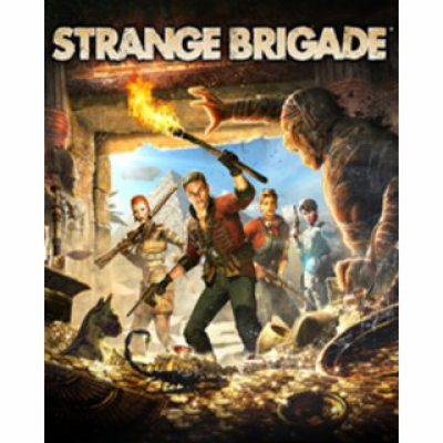 ESD Strange Brigade