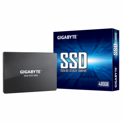 Gigabyte 480GB, SSD, GP-GSTFS31480GNTD (R:550MB/s W:480MB/s)