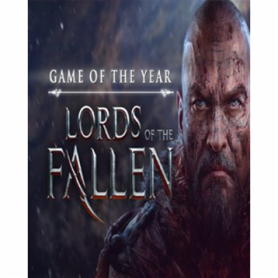 ESD Lords of the Fallen Game of the Year Edition