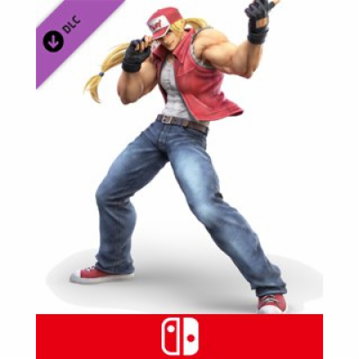 ESD Super Smash Bros. Ultimate Terry Bogard Challe