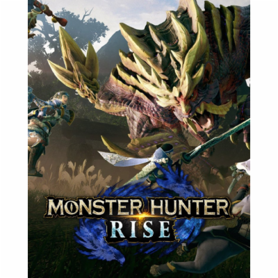 ESD MONSTER HUNTER RISE