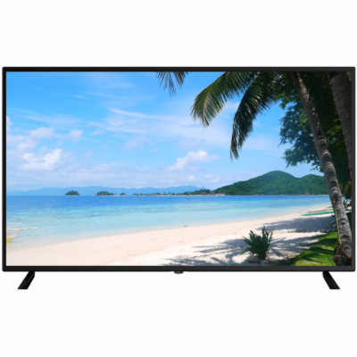 DAHUA 55" LED LM55-F400/ IPS panel/ 3840x2160 (UHD)/ 5000...