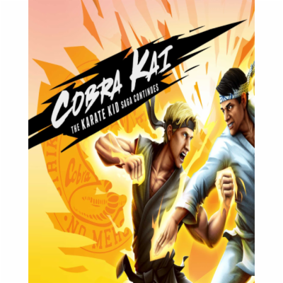 ESD Cobra Kai The Karate Kid Saga Continues