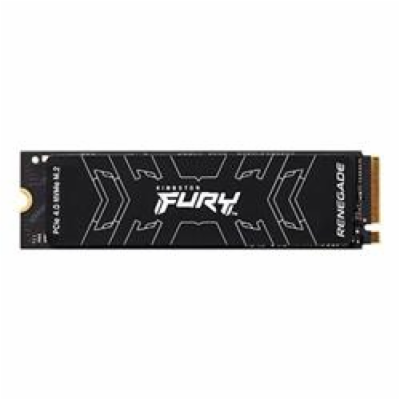 Kingston Fury Renegade 500GB, SFYRSK/500G Kingston SSD 50...