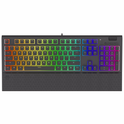 Endorfy herní klávesnice Omnis Pudd.Kailh BL RGB /USB/ bl...