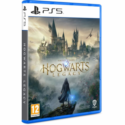 PS5 - Hogwarts Legacy