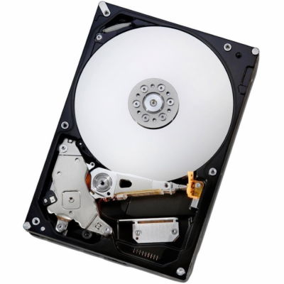 Dell/8TB/HDD/3.5"/SATA/7200 RPM/1R