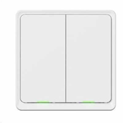 Tesla Smart Switch Dual ZigBee