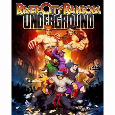 ESD River City Ransom Underground