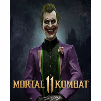 ESD Mortal Kombat 11 The Joker