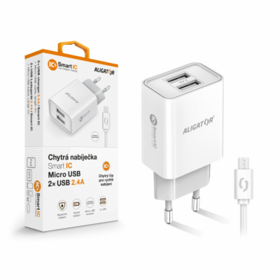 Chytrá síťová nabíječka ALIGATOR 2,4A, 2xUSB, smart IC, b...