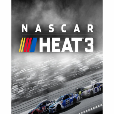 ESD NASCAR Heat 3