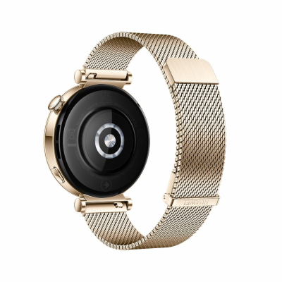 Huawei Watch GT4 41mm (Aurora-B19M), gold EU