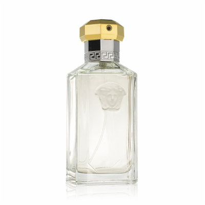 Versace The Dreamer toaletní voda 100 ml Pro muže