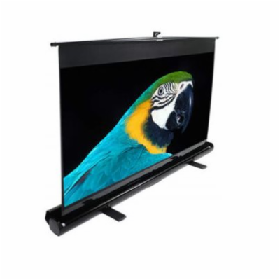 ELITE SCREENS ezCinema Series F60NWV