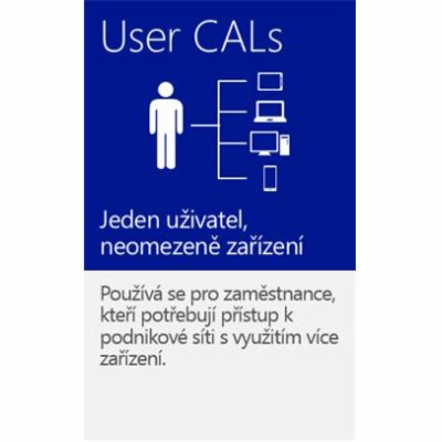 WINDOWS SERVER CAL 2019 ENG 5 CLT USER CAL OEM