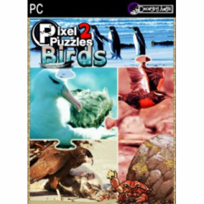 ESD Pixel Puzzles 2 Birds