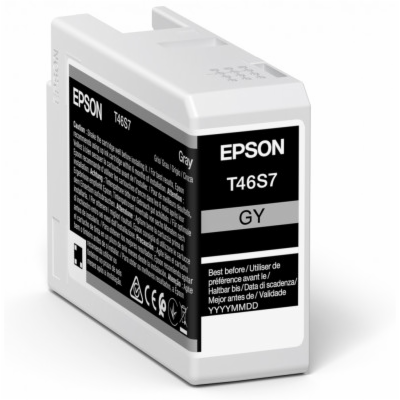 Epson T46S700 - originální EPSON ink Singlepack Gray T46S...