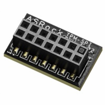 ASRock TPM-SPI