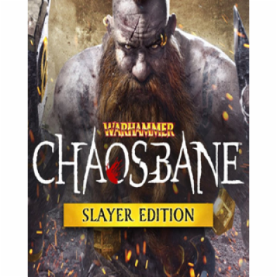 ESD Warhammer Chaosbane Slayer Edition