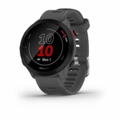 Garmin GPS sportovní hodinky Forerunner 55 Grey, EU