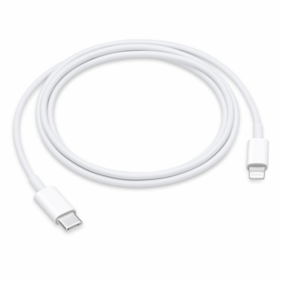 USB-C to Lightning Cable (1 m)