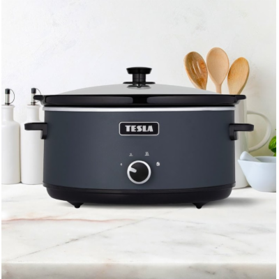 TESLA SlowCook S500