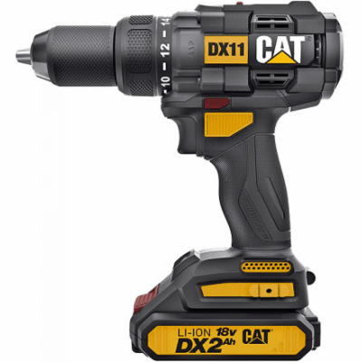 CAT DX11