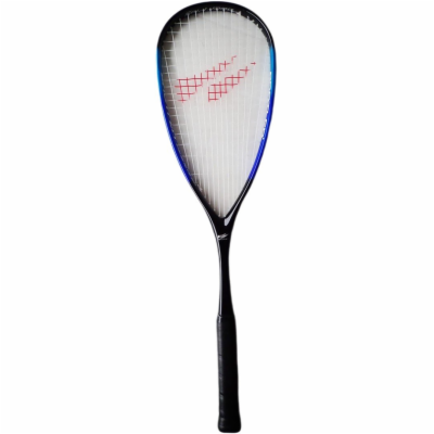 Dunlop G2451MO Squash raketa Brother Power Play - modrá