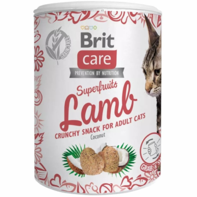 Brit Care Cat Snack Superfruits Lamb 100g pamlsky pro kočky