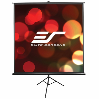 ELITE SCREENS T113UWS1