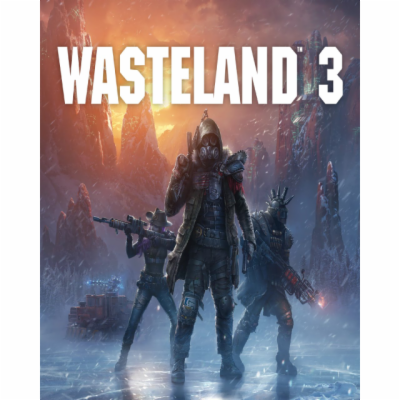 ESD Wasteland 3