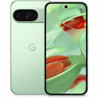 Google Pixel 9 - 128GB Wintergreen, USA