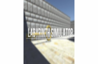 ESD Labyrinth Simulator