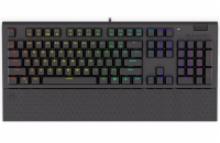 Endorfy herní klávesnice Omnis Kailh BL RGB / USB / blue switch / drátová /mechanická/US layout/černá RGB