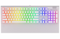 Endorfy herní klávesnice Omnis OWH Pudd.Kailh BR RGB /USB/ brown switch / drátová / mechanická / US layout / bílá RGB