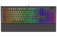 Endorfy herní klávesnice Omnis Pudd.Kailh BR RGB /USB/ brown switch / drátová / mechanická / US layout / černá RGB