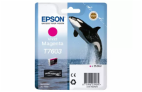 Epson T7603 Ink Cartridge Vivid Magenta