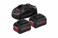 Bosch 2x GBA ProCORE18V 5.5 Ah + GAL 1880 CV Professional (1.600.A02.14C)