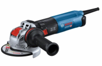 Bosch GWX 17-125 S Professional (0.601.7D2.300)