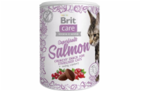 Brit Care Cat Snack Superfruits Salmon  100g pamlsky pro kočky