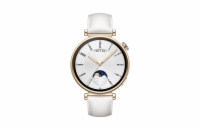 Huawei Watch GT4 41mm (Aurora-B19L), white EU