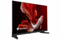 32" Gogen TVH 32P381T